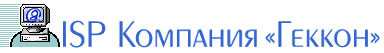 Интернет сервис-провайдер Компания Геккон
